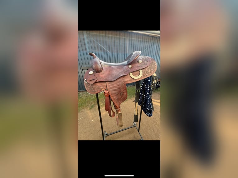 Stegmann Westernsattel 6 1/4 mit Silber Conchos