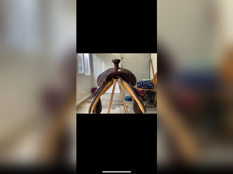 Stegmann Westernsattel 6 1/4 mit Silber Conchos