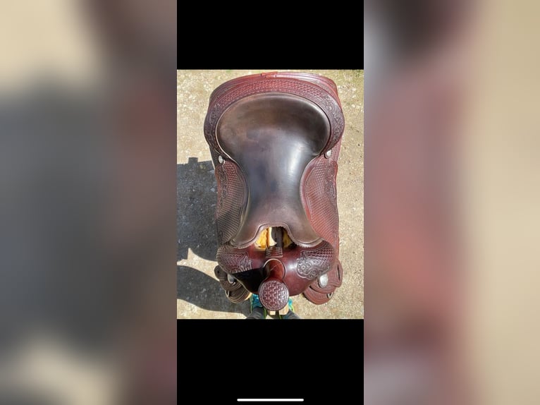 Stegmann Westernsattel 6 1/4 mit Silber Conchos