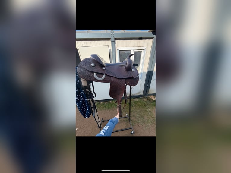 Stegmann Westernsattel 6 1/4 mit Silber Conchos