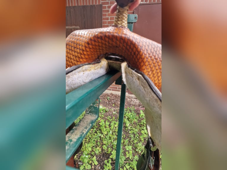 Tex Tan Westernsattel, Barrel-Racer, Full Quarter (FQH)