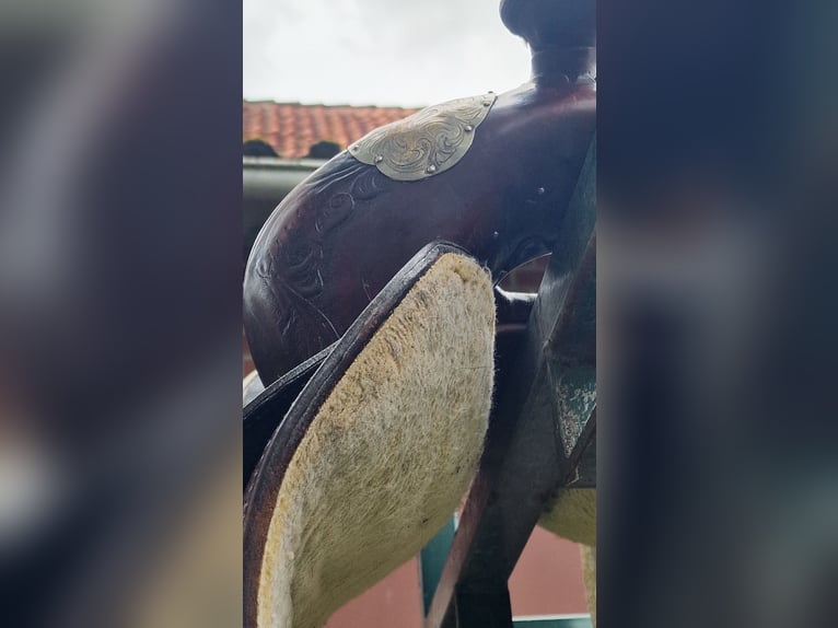 Tex Tan Westernsattel, Show/Pleasue/Alrounder, Full Quarte (FQH)