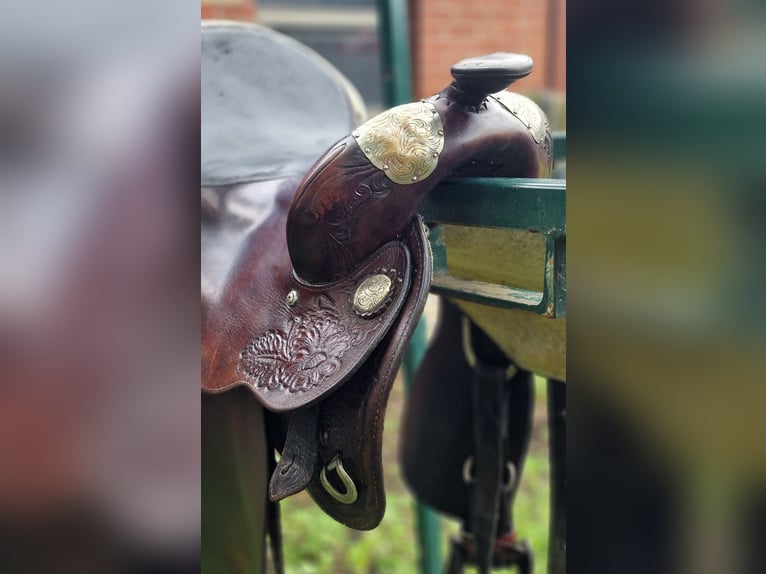 Tex Tan Westernsattel, Show/Pleasue/Alrounder, Full Quarte (FQH)