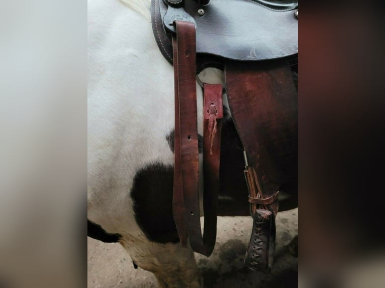 Texas Best Westernsattel 