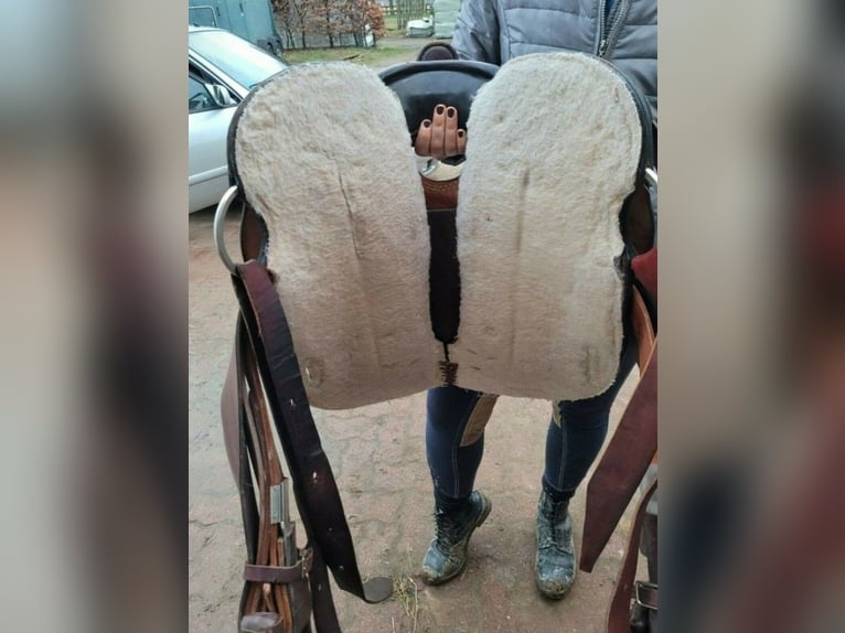 Texas Best Westernsattel 