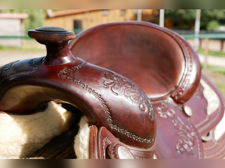 Unikat! Lag nur wenige Male auf dem Pferd 