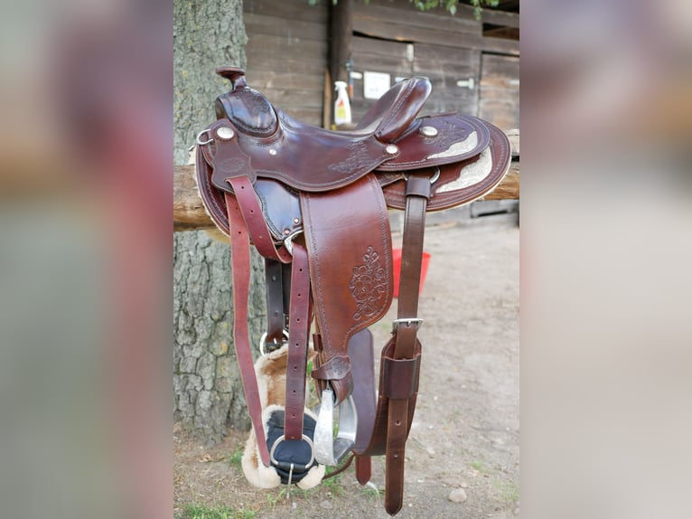 Unikat! Lag nur wenige Male auf dem Pferd 