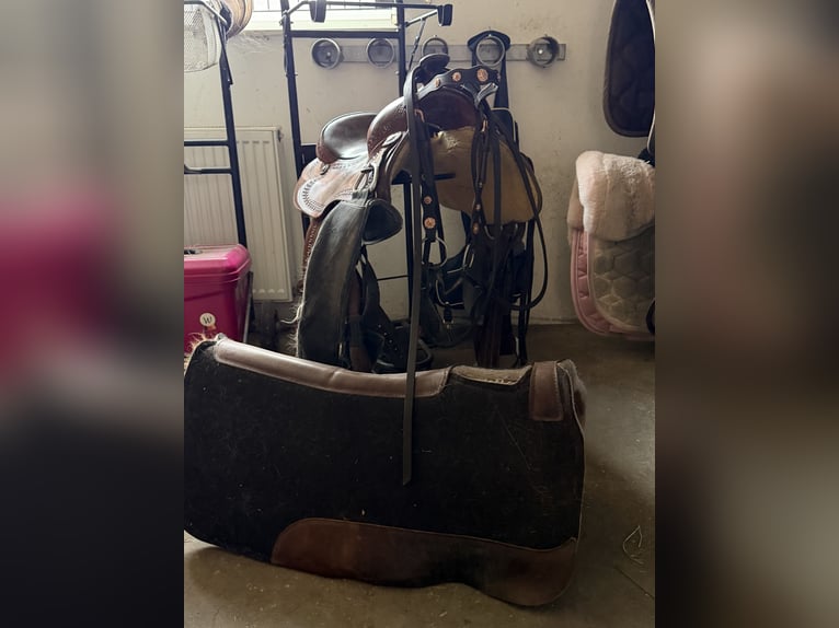 Verkaufe Pullmann Westernsattel gerne als Set mit Trense und Pad 