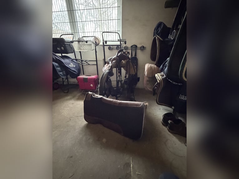 Verkaufe Pullmann Westernsattel gerne als Set mit Trense und Pad 