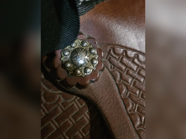 Vollblut/Pony Westernsattel 