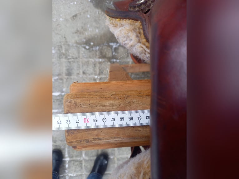 Western Arbeitssattel der Marke Colorado  - Original aus USA 