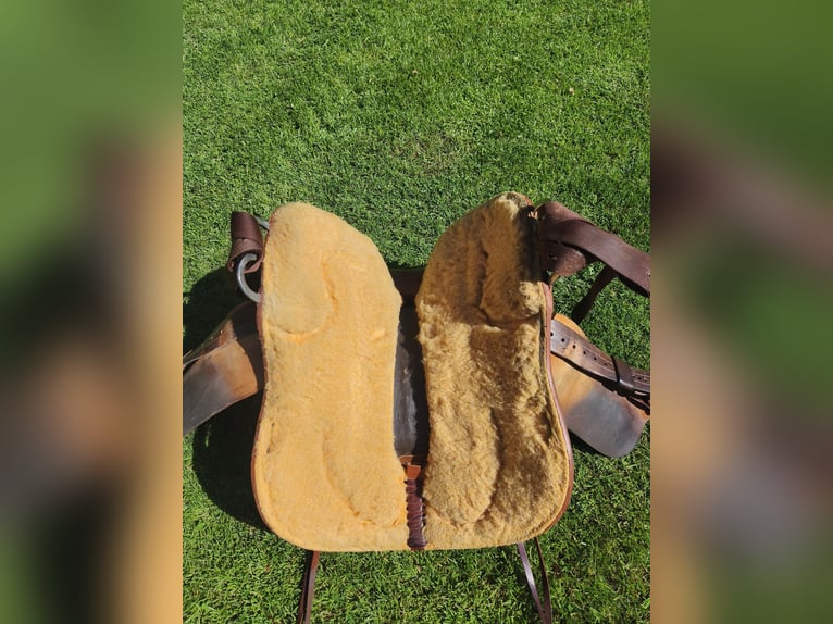 Western Sattel 16 Zoll (Trail Master chestnut)