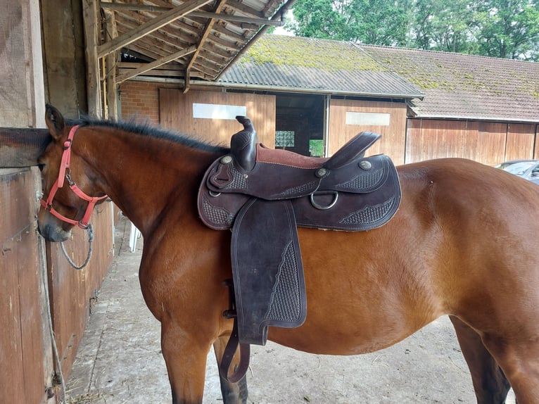 Westernsattel 16'