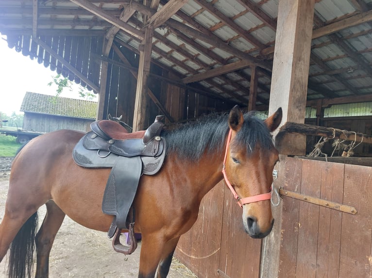 Westernsattel 16'