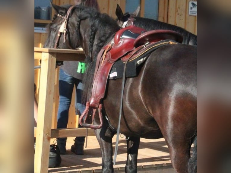 Westernsattel Art of Westernriding rot braun