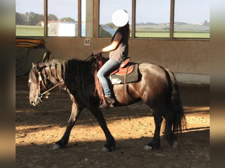 Westernsattel Art of Westernriding rot braun