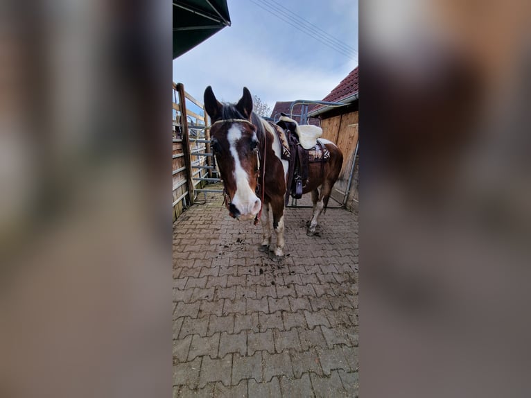 Westernsattel aus punziertem Leder für Warmblut