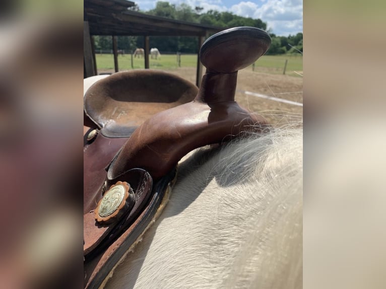 Westernsattel Big Horn