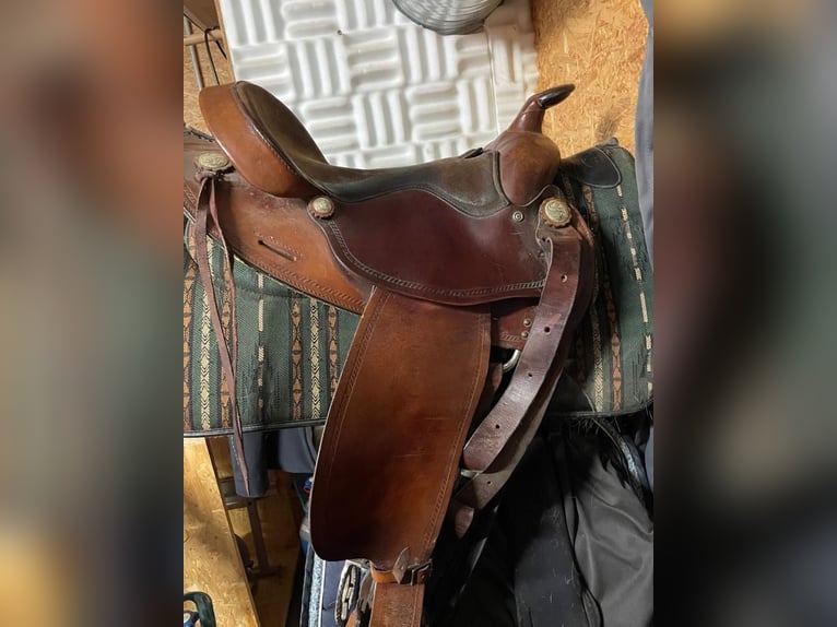 Westernsattel Big Horn