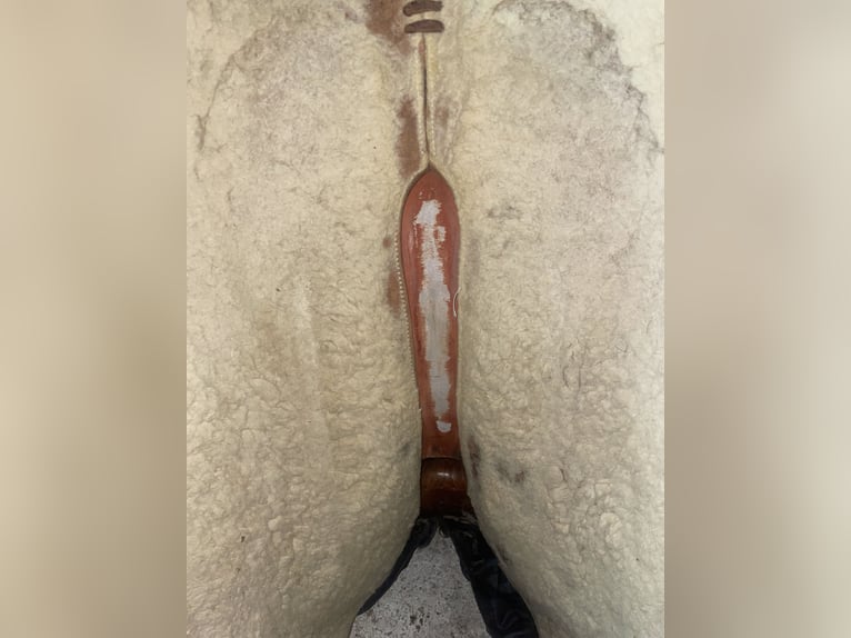 Westernsattel Bob‘s Saddlery