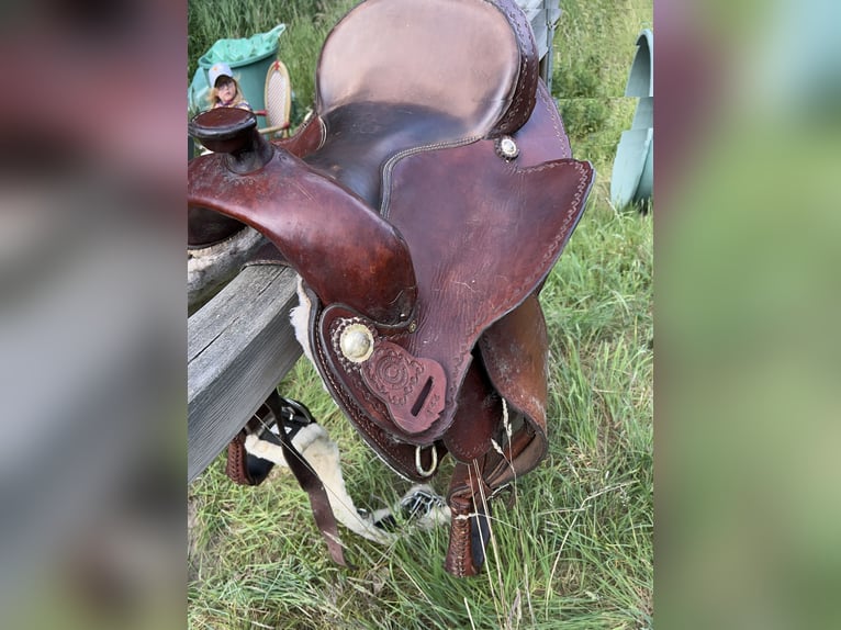Westernsattel Continental 144 für Kaltblut