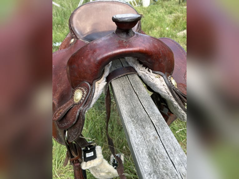 Westernsattel Continental 144 für Kaltblut