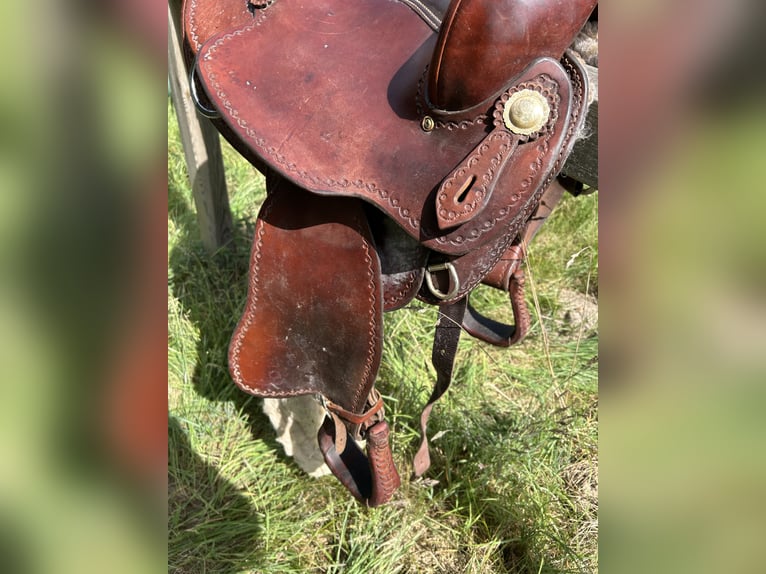 Westernsattel Continental 144 für Kaltblut