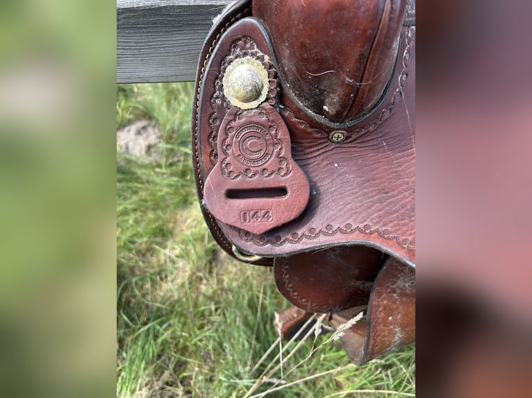 Westernsattel Continental 144 für Kaltblut