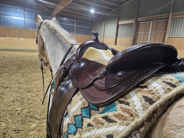 Westernsattel Continental Equiflex Baum  72 Sitzgröße 16"