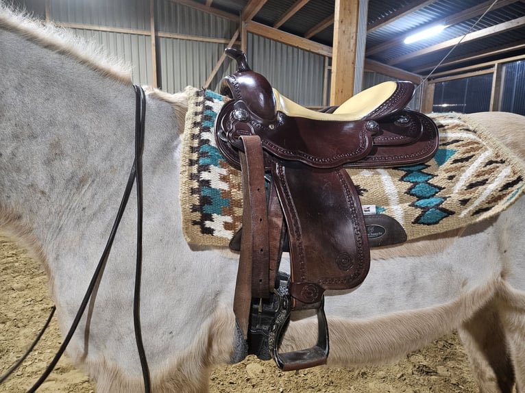 Westernsattel Continental Equiflex Baum  72 Sitzgröße 16"
