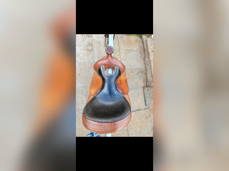 Westernsattel Continental