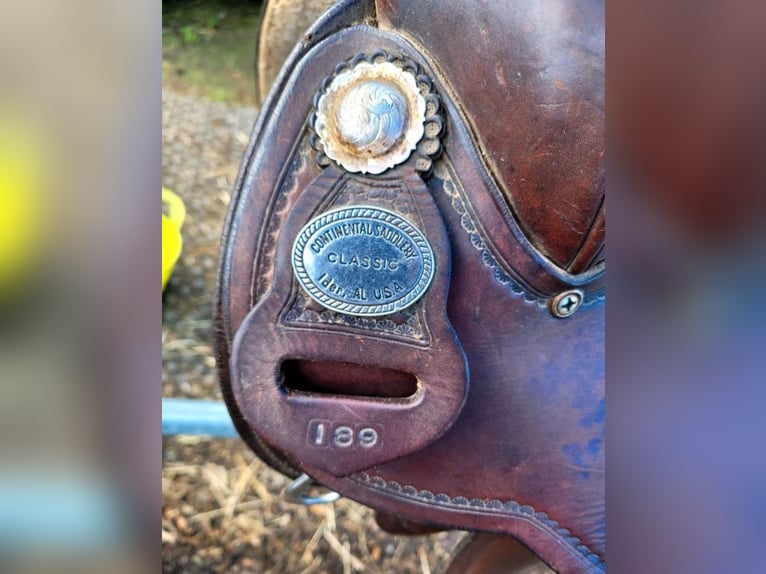 Westernsattel Continental