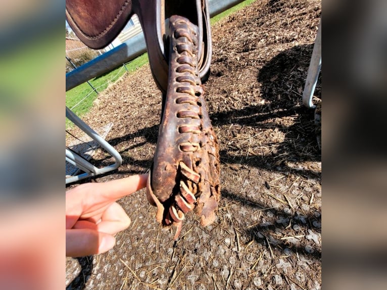 Westernsattel Continental