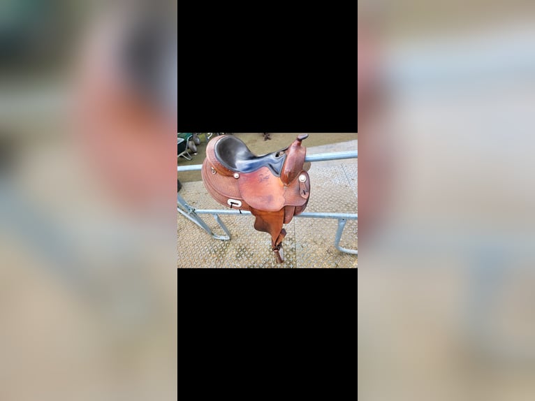 Westernsattel Continental