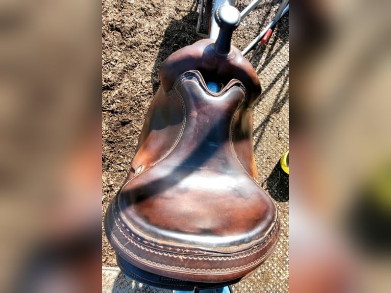 Westernsattel Continental