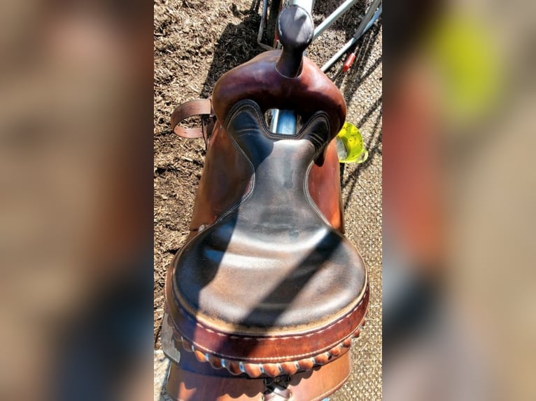 Westernsattel Continental