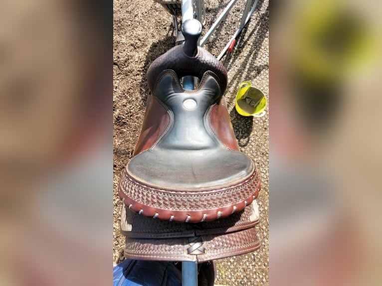 Westernsattel Continental