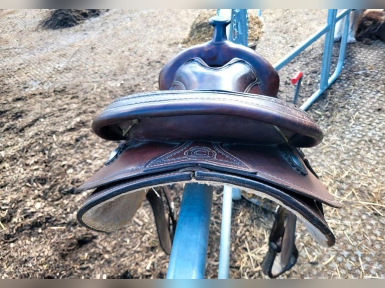 Westernsattel Continental