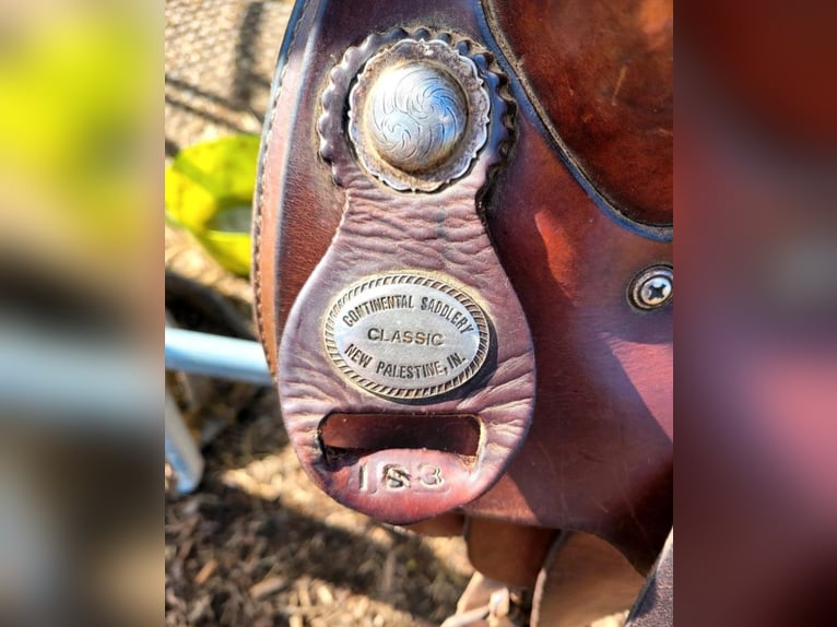 Westernsattel Continental