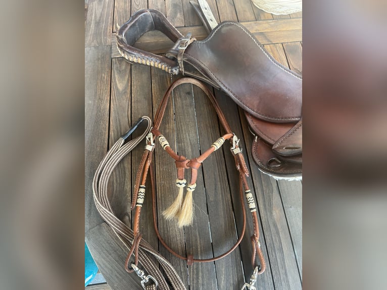 Westernsattel Continental Saddlery