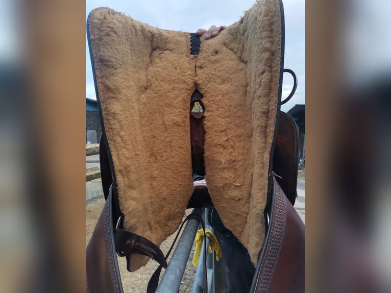 Westernsattel CRATES 4544 Warmblut 