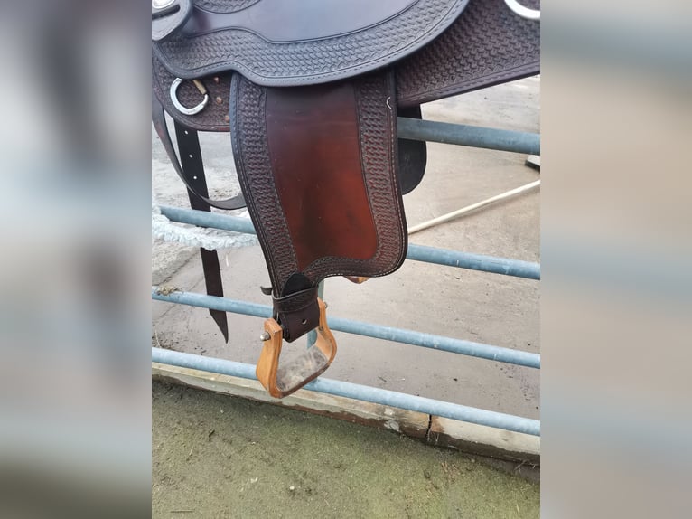 Westernsattel CRATES 4544 Warmblut 