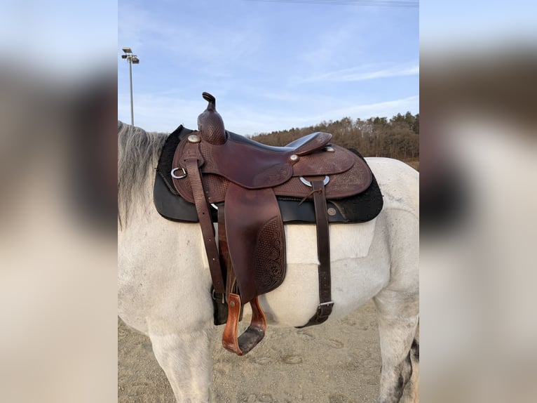 Westernsattel Deuber Reining 