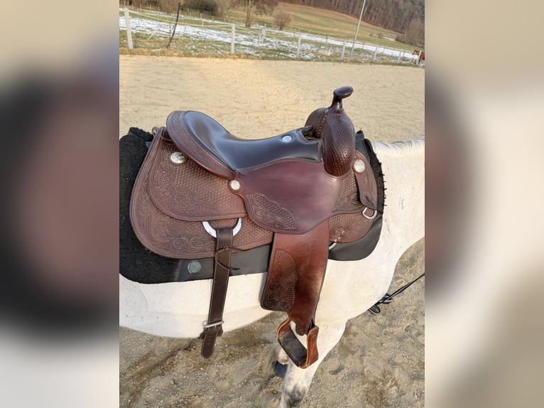 Westernsattel Deuber Reining 