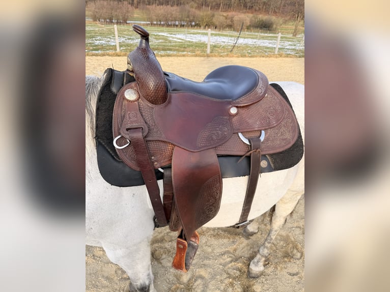 Westernsattel Deuber Reining 