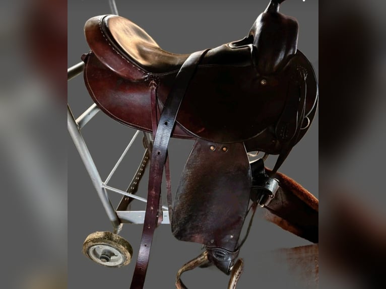 Westernsattel Deuber und Partner CL 1031 02