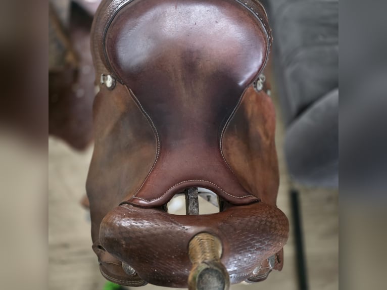 Westernsattel deuber und partner