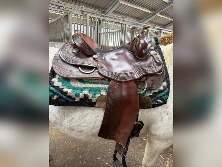 Westernsattel Diamond C, gebraucht