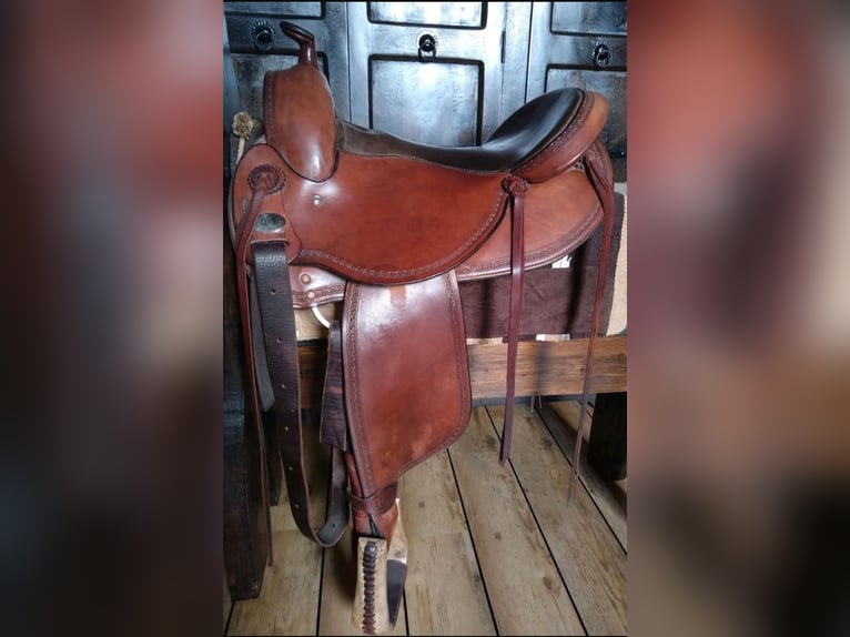 Westernsattel / DP Saddlery / Sattel / DP Trail Rider