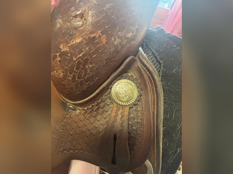 Westernsattel Equiflex